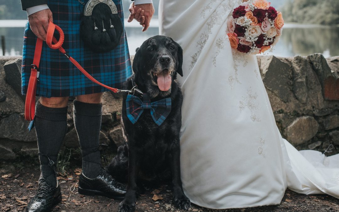 Dog Friendly Wedding Venues