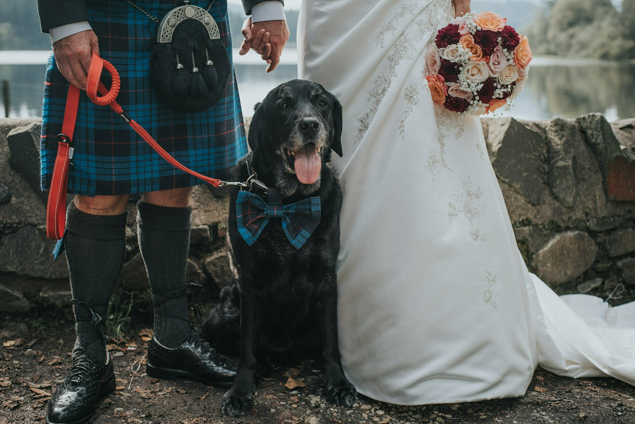 Dog Friendly Wedding Venues