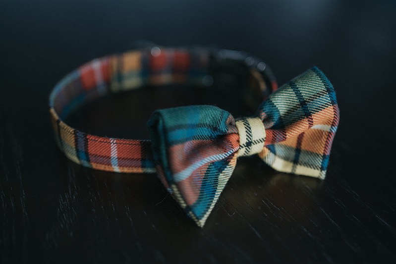 Wedding Bow Ties for dogs